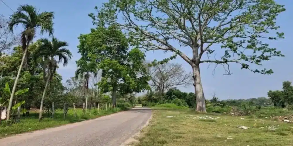 Pronostican mucho calor para Tabasco (Foto de internet)