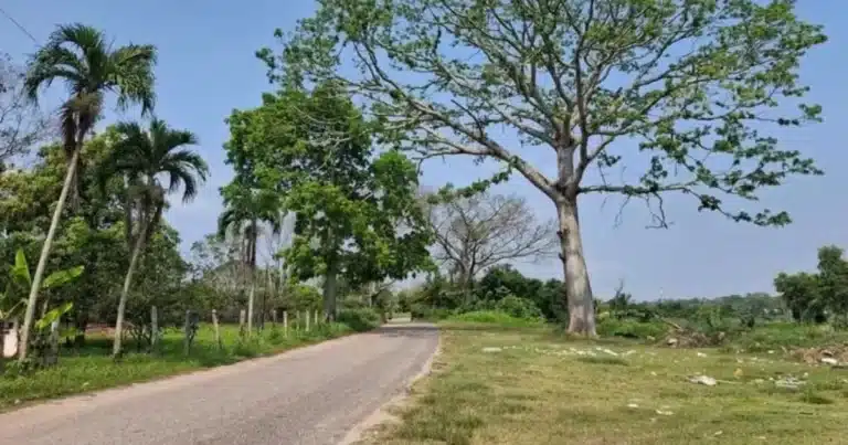 Pronostican mucho calor para Tabasco (Foto de internet)
