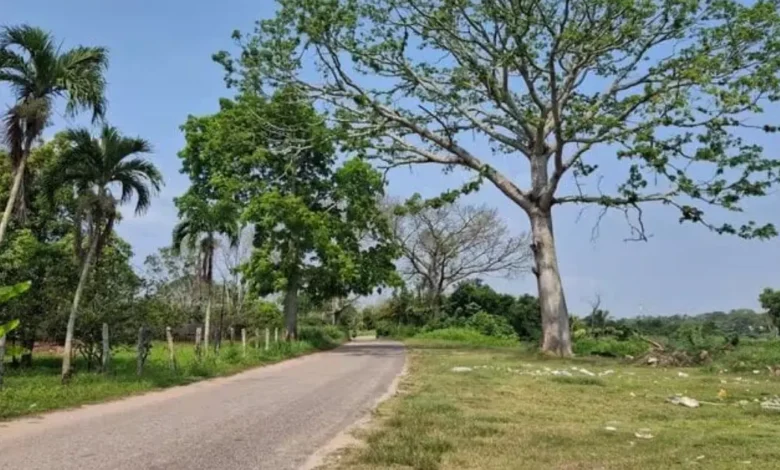 Pronostican mucho calor para Tabasco (Foto de internet)