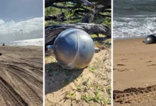 encuentran esferas plateadas de origen desconocido en playa de australia; activan investigación