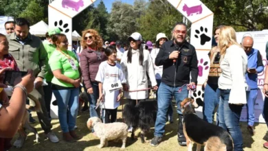 extiende mercado programa de bienestar animal