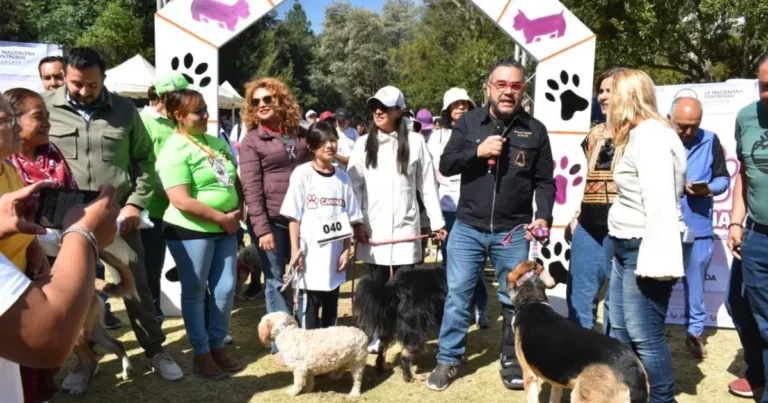 extiende mercado programa de bienestar animal