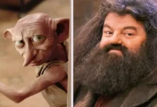 harry potter ampliará su universo con dos nuevos libros dedicados a hagrid y dobby