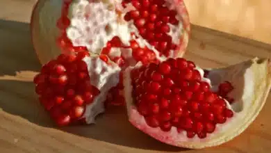 la granada el fruto originario de irán que se convirtió en símbolo del chile en nogada