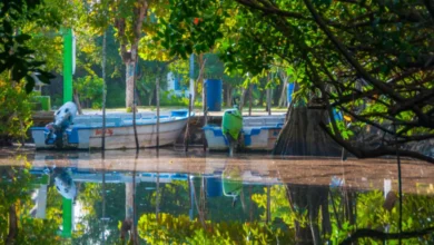 la tovara qué hacer en el paraíso natural escondido entre los manglares de san blas