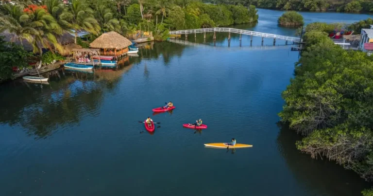 laguna de mandinga el destino de veracruz para disfrutar ostiones frescos y paseos entre manglares