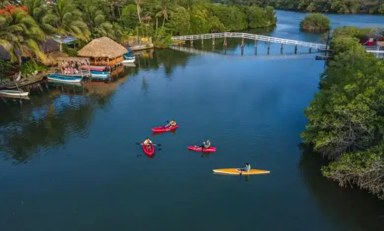 laguna de mandinga el destino de veracruz para disfrutar ostiones frescos y paseos entre manglares