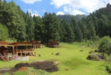 maatawi, el santuario de luciérnagas que preserva la cultura del último pueblo matlatzinca