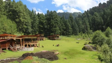 maatawi, el santuario de luciérnagas que preserva la cultura del último pueblo matlatzinca