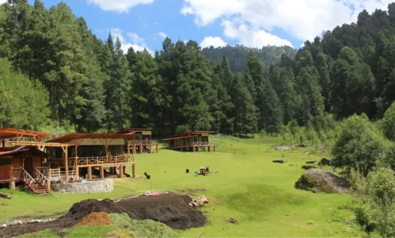 maatawi, el santuario de luciérnagas que preserva la cultura del último pueblo matlatzinca