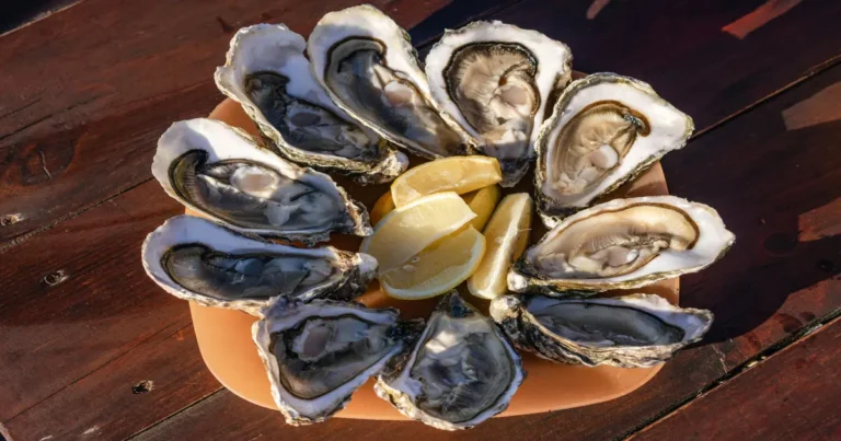 ostiones ahumados al tapesco el platillo tradicional que conquista la gastronomía de tabasco