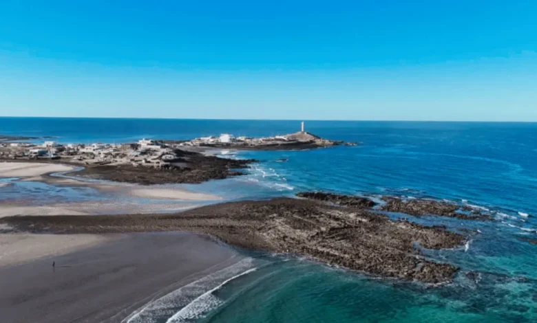 puerto lobos, el destino de sonora donde el desierto se encuentra con el mar