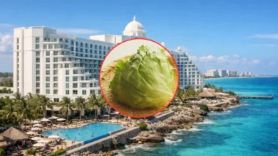 reino unido alerta por casos de ciclosporiasis en viajeros que visitaron quintana roo
