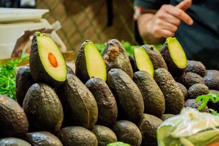 Aguacate y jitomate las frutas y hortalizas más exportadas en 2023