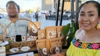 Cacao tabasqueño el tesoro ancestral que sana y energiza