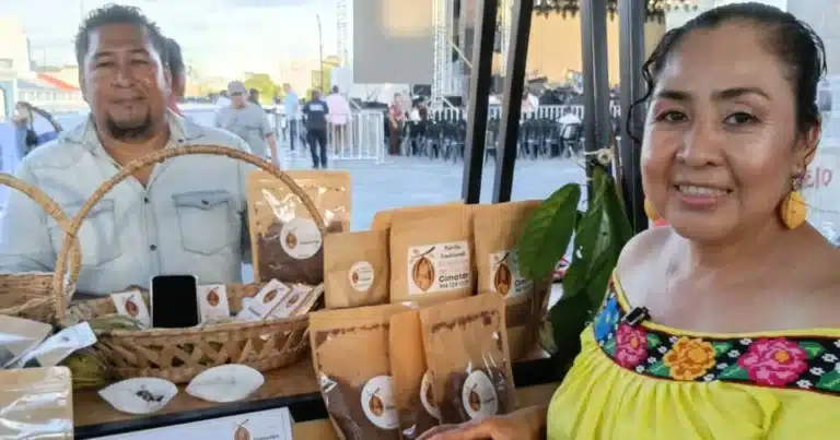 Cacao tabasqueño el tesoro ancestral que sana y energiza