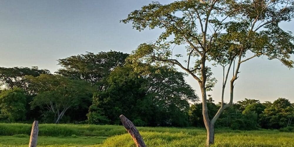 calor y probabilidad de lluvias vespertinas