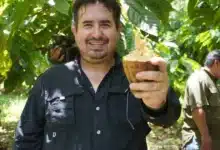 cero tolerancias a robo de cacao