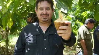 cero tolerancias a robo de cacao