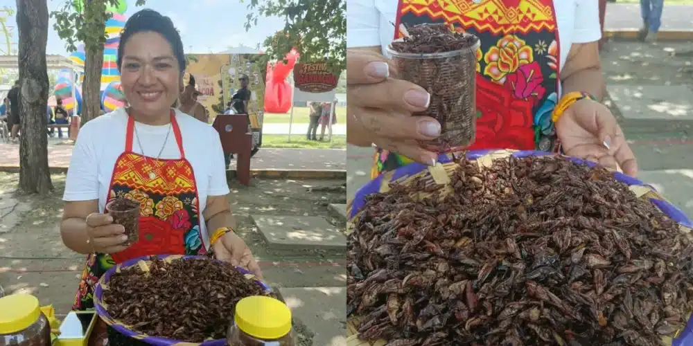 el sazón oaxaqueño que conquista paladares con chile de árbol y tradición