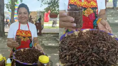 el sazón oaxaqueño que conquista paladares con chile de árbol y tradición