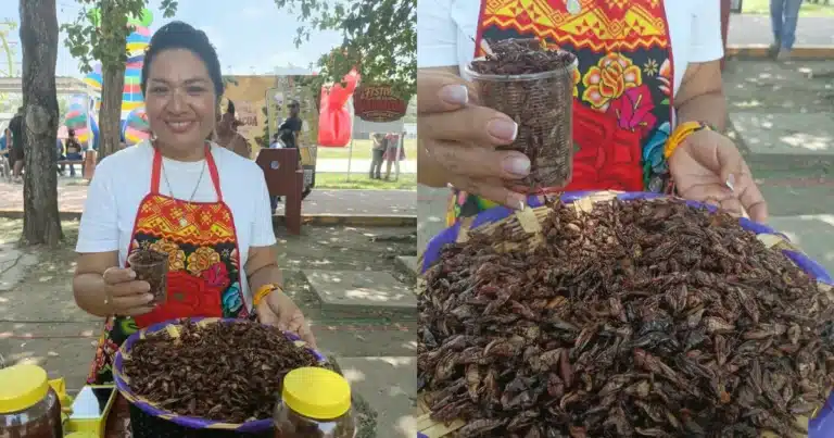 el sazón oaxaqueño que conquista paladares con chile de árbol y tradición