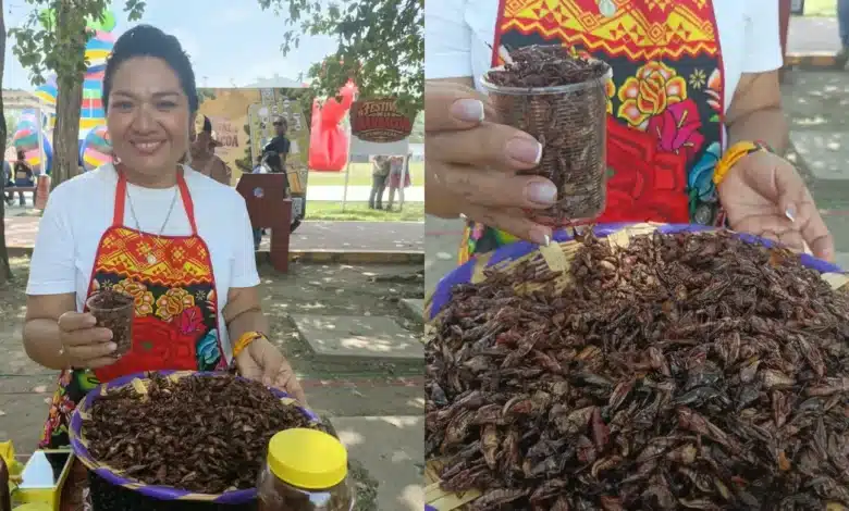 el sazón oaxaqueño que conquista paladares con chile de árbol y tradición
