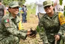 Tala histórica dispara crisis térmica en Tabasco (Foto de cortesía)