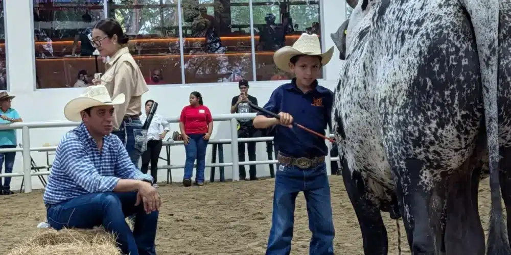 Concurso “niño manejador” (Foto de cortesía)