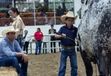 Concurso “niño manejador” (Foto de cortesía)