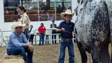 Concurso “niño manejador” (Foto de cortesía)
