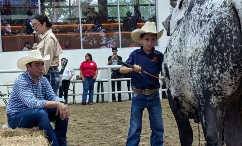 Concurso “niño manejador” (Foto de cortesía)