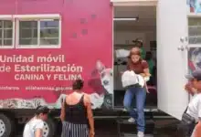 Esterilizar para salvar vidas