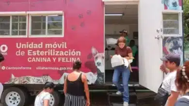 Esterilizar para salvar vidas