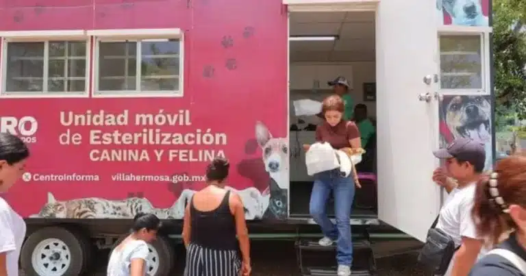 Esterilizar para salvar vidas
