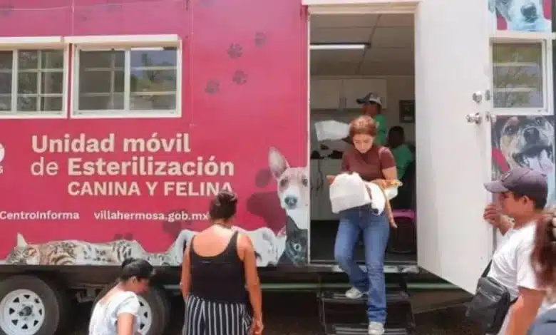 Esterilizar para salvar vidas