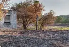 factor humano provoca el 95 por ciento de los incendios bomberos