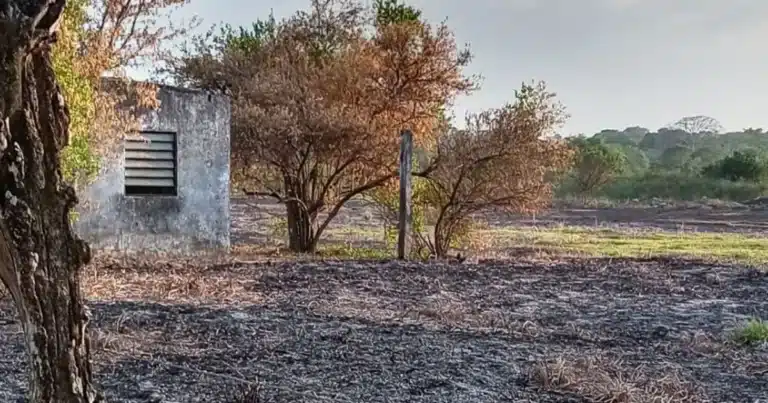 factor humano provoca el 95 por ciento de los incendios bomberos