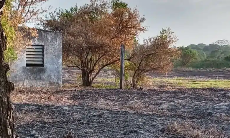 factor humano provoca el 95 por ciento de los incendios bomberos