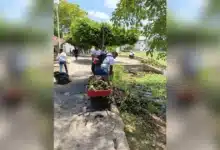 jóvenes al rescate de el jícaro devuelven la vida a la laguna tras la mortandad de peces