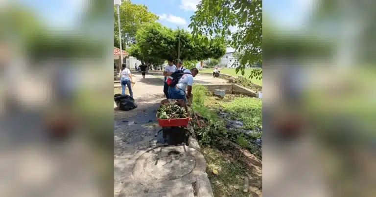 jóvenes al rescate de el jícaro devuelven la vida a la laguna tras la mortandad de peces