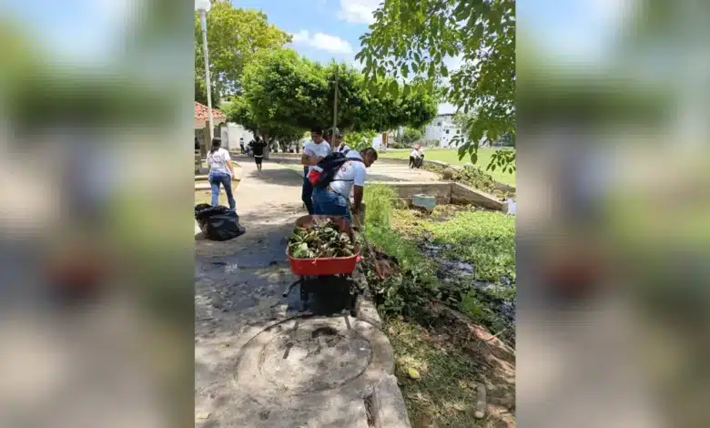 jóvenes al rescate de el jícaro devuelven la vida a la laguna tras la mortandad de peces