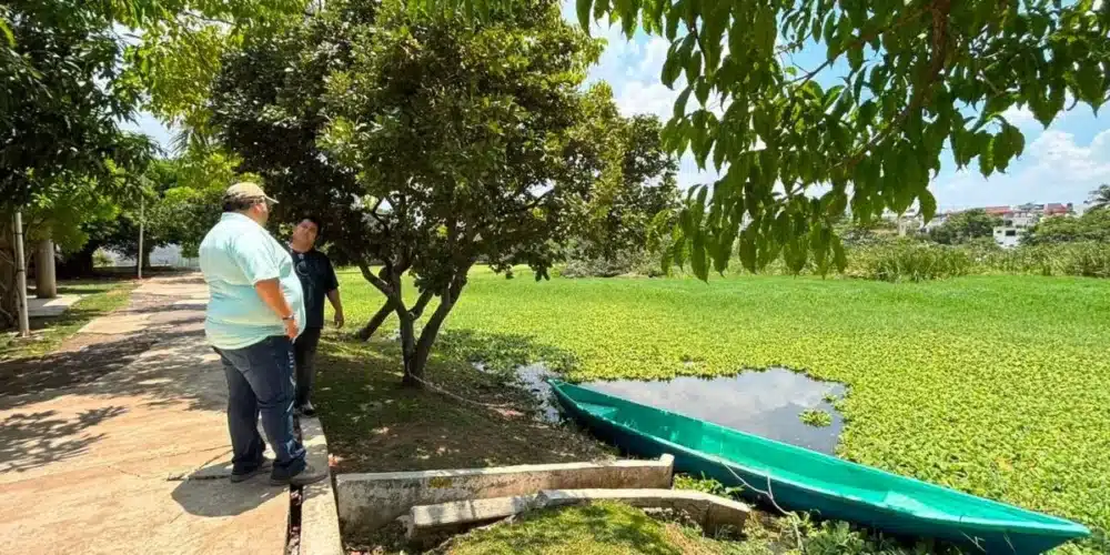 mas de 100 mdp para rescatar y sanear lagunas
