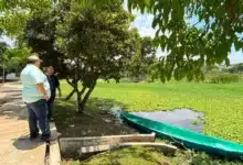 mas de 100 mdp para rescatar y sanear lagunas