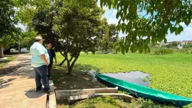 mas de 100 mdp para rescatar y sanear lagunas
