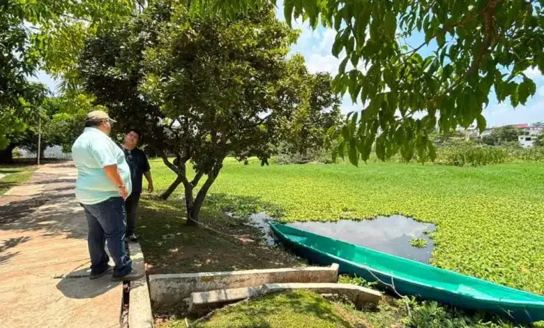 mas de 100 mdp para rescatar y sanear lagunas