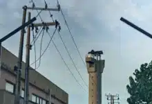 Prevén sábado de calor extremo seguido de fuertes lluvias