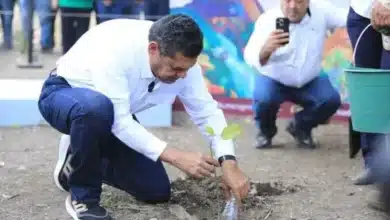 producción propia de árboles para reforestar la planicie tabasqueña
