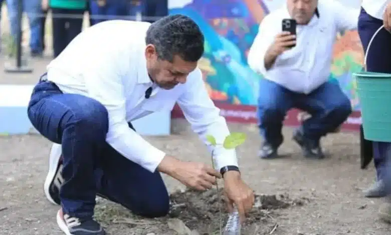 producción propia de árboles para reforestar la planicie tabasqueña