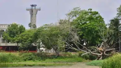 sequía extrema vacía las lagunas urbanas